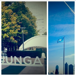 Beautiful fall colors and the sky matching color with the UN flag to celebrate this special day...